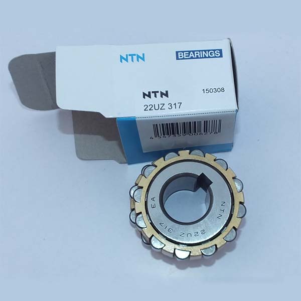 fabricante chino excéntrico teniendo 22UZ317